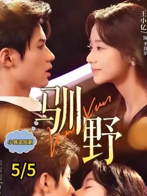 雾港迷踪大结局剧集资讯